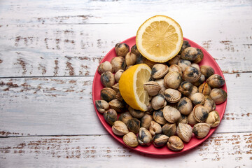 view of fresh cockles on a plate