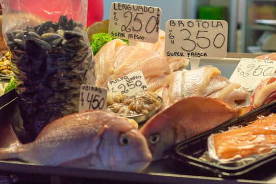 Pescado en el mercado del puerto