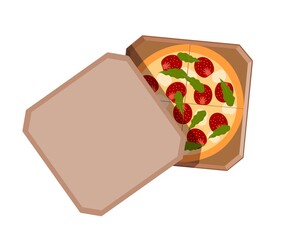 Paper box with pizza on a white background. Vector illustration