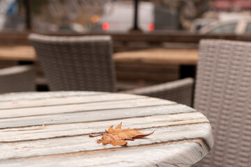 Autumn story: fallen dry leaf on a table wet from rain in an outdoor cafe w