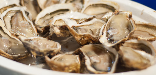 Fresh Oyster dish