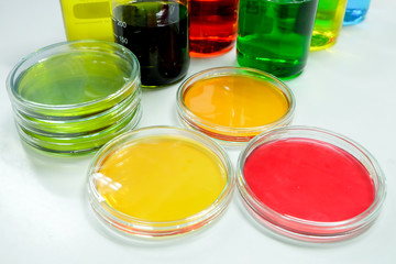 petridish in laboratory