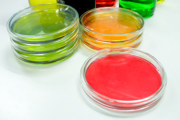 petridish in laboratory