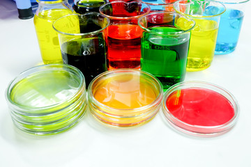 petridish in laboratory