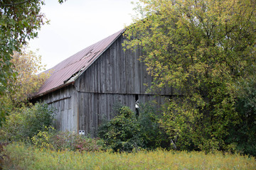 Obraz premium old barn