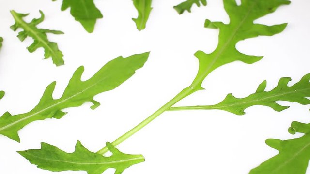 Aragula ruccola leaf leaves salad footage video on slow motion rotating rolling plate
