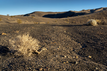 Landscape near the Ubehebe Crater at sunset, death Valley National Park, CA, USA