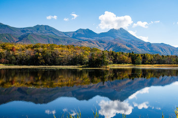 秋の知床　知床五湖【二湖】と知床連山（北海道・斜里町）