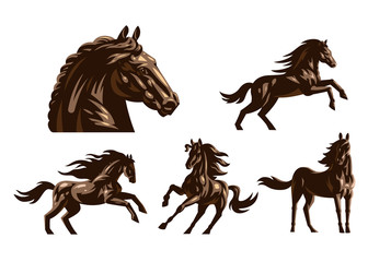 Horse images in classic minimal style.