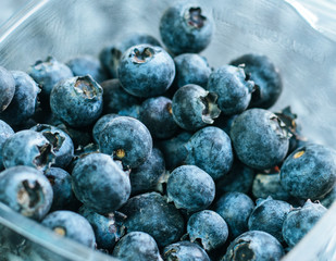 Some blueberries in a plastic container