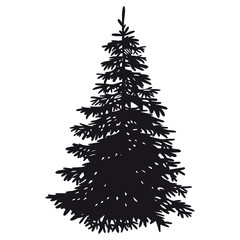 Pine tree silhouette – Vector, isolated