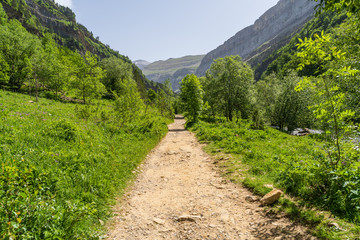 Fototapeta na wymiar Path in the mountains