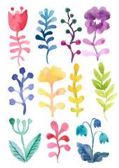 Set of leaves and watercolour flowers. Floral colourful collection. Flowers for design invitations and greeting cards.