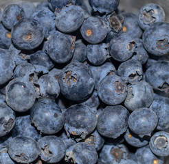 Some fresh and healthy blueberries for a delicious breakfast