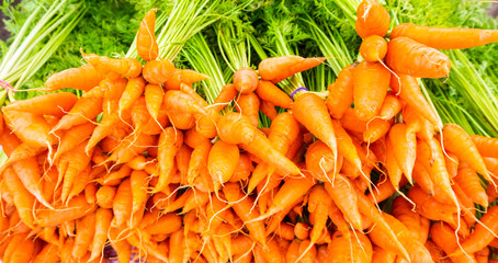 Beautiful of bunch fresh ripe orange carrots with green, a pile of market organic. vegetable healthy eating good for health.