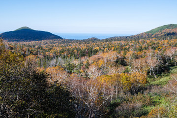 秋の知床　知床横断道路から見る紅葉の原野とオホーツク海（北海道・斜里町）