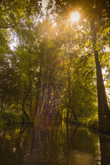 Obraz premium Wasserkanäle im Spreewald