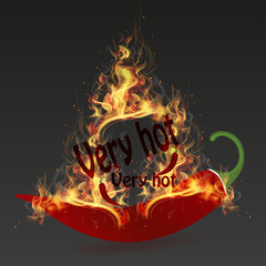 Chili pepper on fire. Burning Chili Pepper. Super hot red chilli pepper in fire. Chili peppers in flame. Vector illustration. Hot spices.