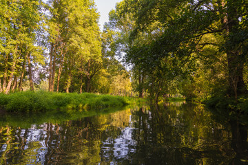 Wasserkanäle im Spreewald