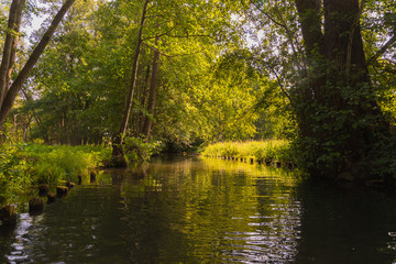 Wasserkan&auml;le im Spreewald