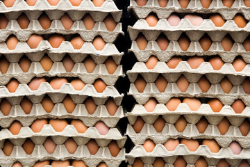 Fresh chicken eggs in a cardboard package