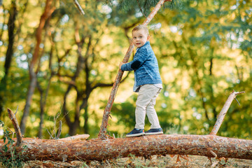 A child boy stands on a fallen tree trunk in autumn forest.