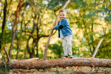 A child boy stands on a fallen tree trunk in autumn forest.