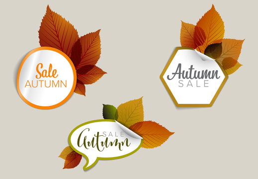 Autumn Sale Sticker Icon Set