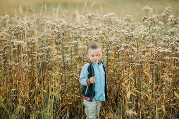 Child boy walks in a meadow.