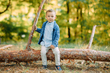 A child boy sits on a fallen tree trunk in autumn forest.