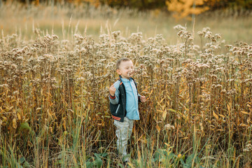 Child boy walks in a meadow.