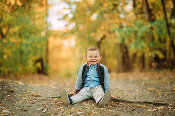 A child boy sits on a pathway in autumn forest.