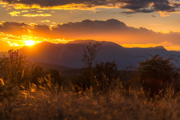 Fototapeta premium Wheat field on sunset with amazing clouds