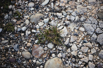 stones and grass