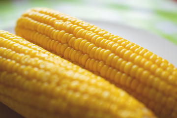 Boiled corn is an appetizing pod in a close-up white dish.