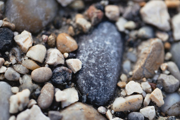 closeup stones