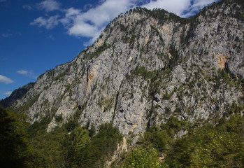 Mountain summer landscape. Canyon in Montenegro.
