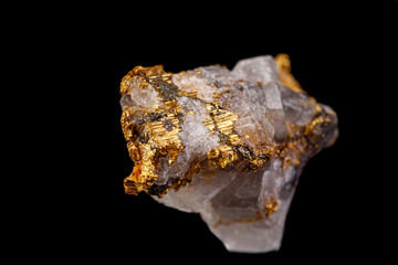 macro mineral stone gold in the rock on a black background