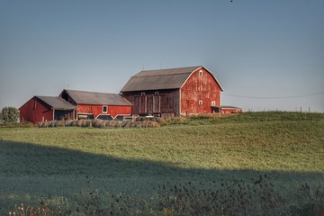 0560 - Across the Field in Millington (0560-BAR-091318-0830A)