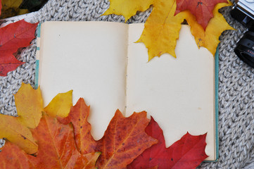 Naklejka na ściany i meble clean book with autumn leaves 