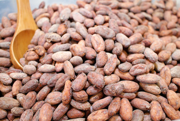 Cocoa beans. Cacao beans on a burlap background. Happiness. Chocolate. Cocoa pattern.