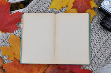clean book with autumn leaves 