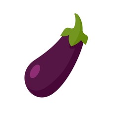 Eggplant icon. Flat illustration of eggplant vector icon for web design