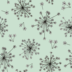Obraz premium Ammi Majus little flowers graphic hand drawn - seamless pattern on light green