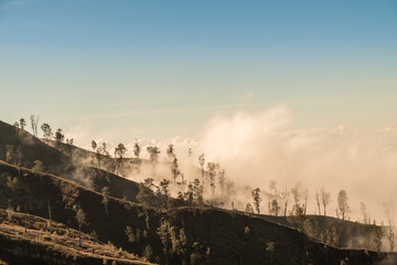 landscape fog on morning nice view with tree on mountain 