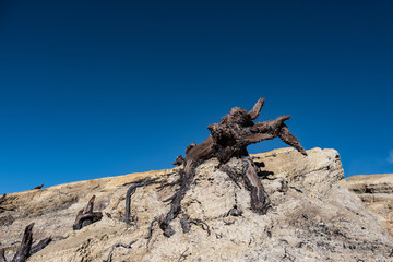landscape deep blue sky and root on sand of mountain