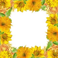 Beautiful floral background of chrysanthemums, rudbeckia and sunflower. Isolated