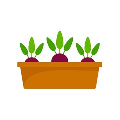 Beetroot in ground pot icon. Flat illustration of beetroot in ground pot vector icon for web design