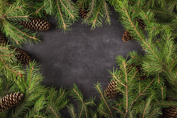 Christmas trees background