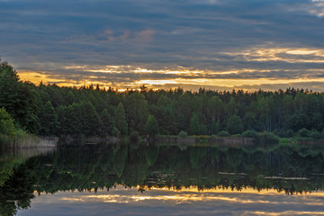 Forest by the lake before summer sunset.